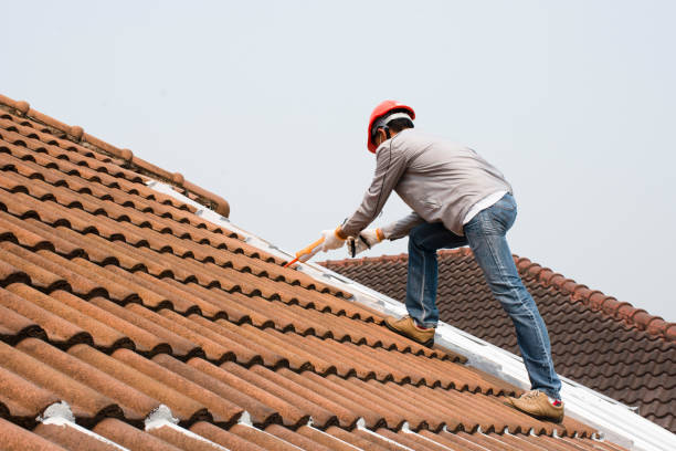 Best Storm Damage Roof Repair  in Brock Hall, MD